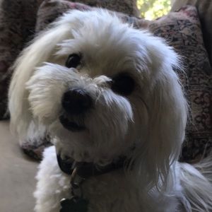 Meet your Posher, Beverly